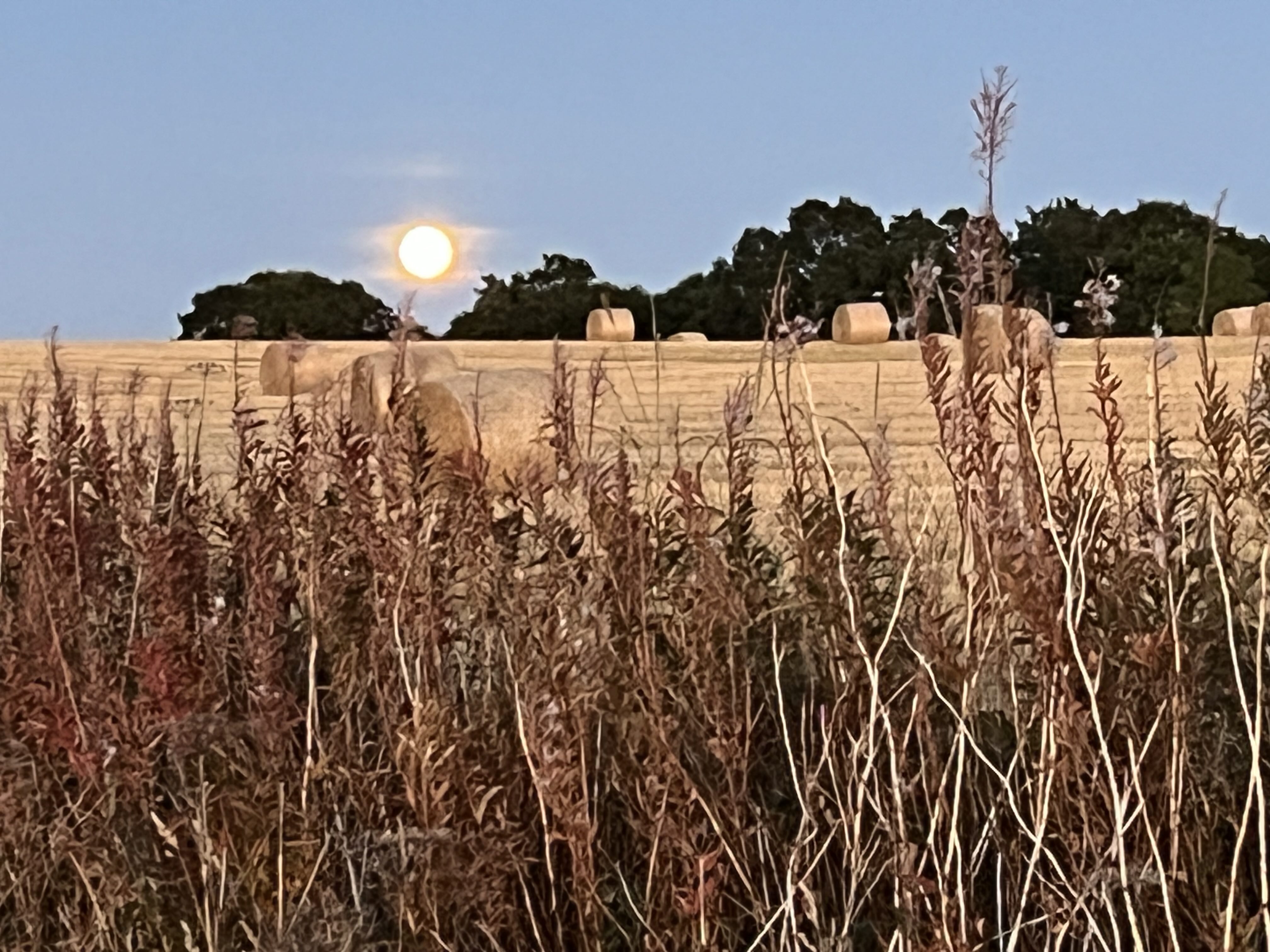 Arrange a Strategic Marketing Conversation 5